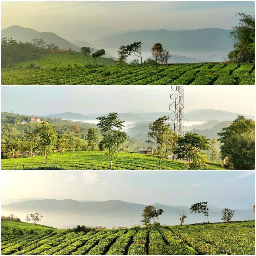 Cloud Canopy - Tea Garden Family Pool Cottage In Vagamon Exterior photo