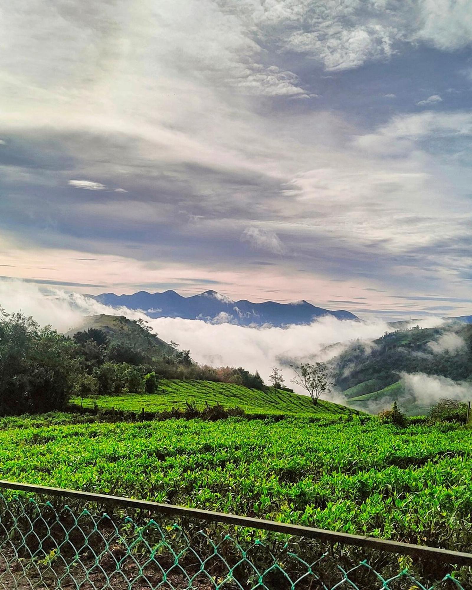 Cloud Canopy - Tea Garden Family Pool Cottage In Vagamon Exterior photo