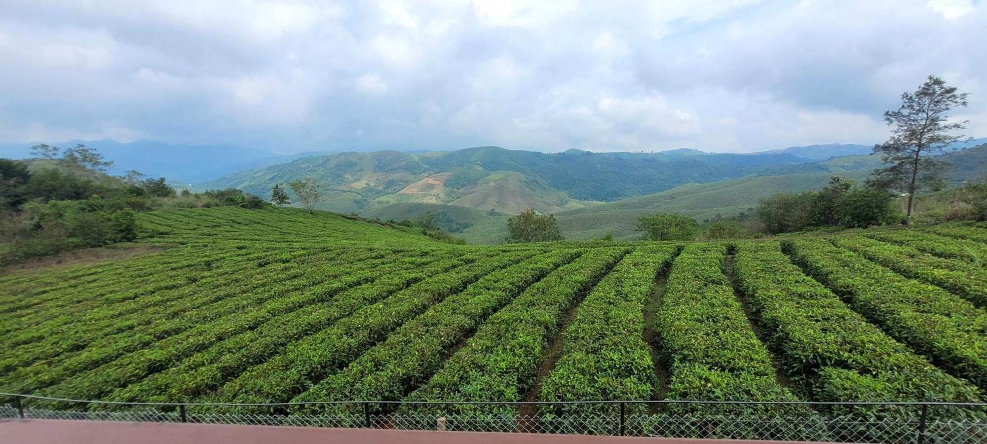 Cloud Canopy - Tea Garden Family Pool Cottage In Vagamon Exterior photo