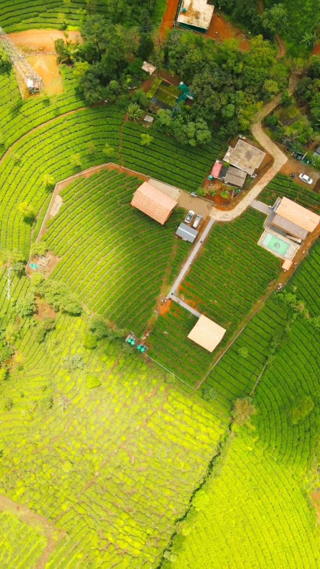 Cloud Canopy - Tea Garden Family Pool Cottage In Vagamon Exterior photo